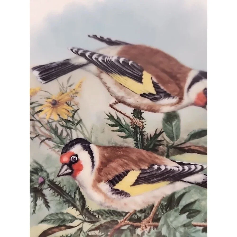 HEIMISCHE SINGVÖGEL ER BAUT SEIN NEST, PLATE